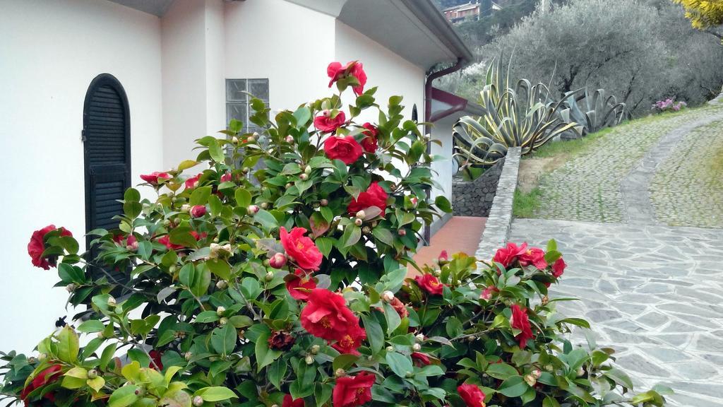 Villa Il Pettirosso لا سبيتسْيا الغرفة الصورة